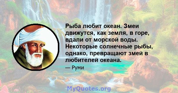 Рыба любит океан. Змеи движутся, как земля, в горе, вдали от морской воды. Некоторые солнечные рыбы, однако, превращают змей в любителей океана.