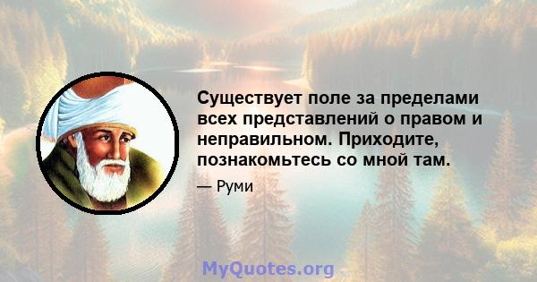 Существует поле за пределами всех представлений о правом и неправильном. Приходите, познакомьтесь со мной там.