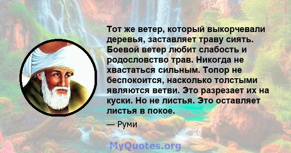 Тот же ветер, который выкорчевали деревья, заставляет траву сиять. Боевой ветер любит слабость и родословство трав. Никогда не хвастаться сильным. Топор не беспокоится, насколько толстыми являются ветви. Это разрезает