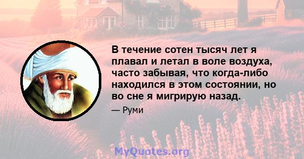 В течение сотен тысяч лет я плавал и летал в воле воздуха, часто забывая, что когда-либо находился в этом состоянии, но во сне я мигрирую назад.