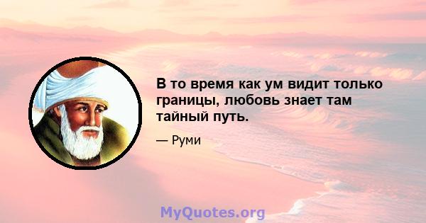 В то время как ум видит только границы, любовь знает там тайный путь.