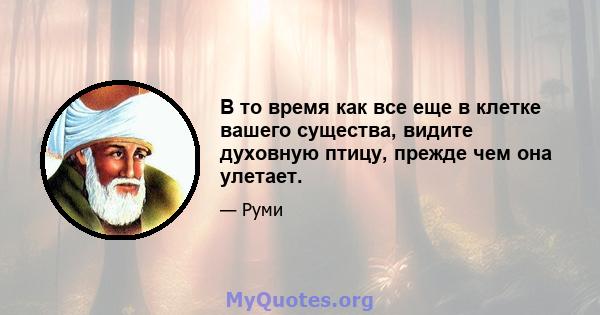 В то время как все еще в клетке вашего существа, видите духовную птицу, прежде чем она улетает.