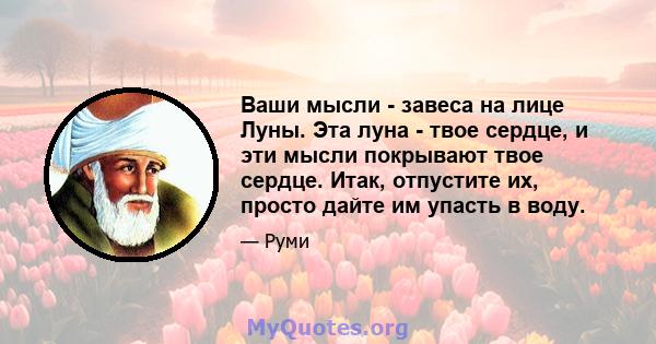 Ваши мысли - завеса на лице Луны. Эта луна - твое сердце, и эти мысли покрывают твое сердце. Итак, отпустите их, просто дайте им упасть в воду.