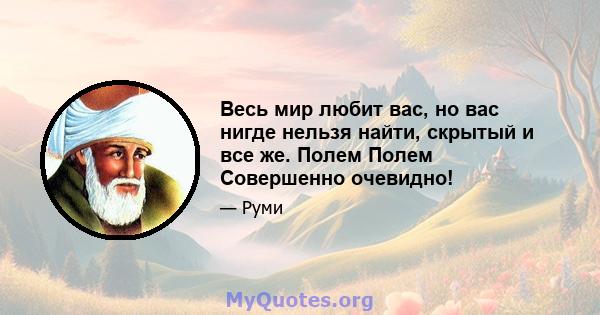 Весь мир любит вас, но вас нигде нельзя найти, скрытый и все же. Полем Полем Совершенно очевидно!