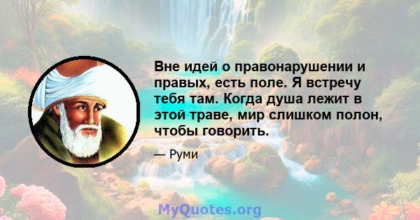 Вне идей о правонарушении и правых, есть поле. Я встречу тебя там. Когда душа лежит в этой траве, мир слишком полон, чтобы говорить.