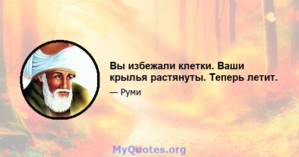 Вы избежали клетки. Ваши крылья растянуты. Теперь летит.