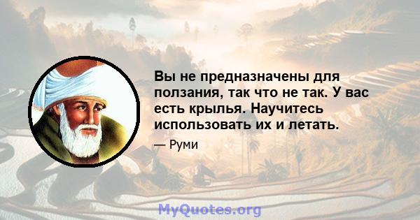 Вы не предназначены для ползания, так что не так. У вас есть крылья. Научитесь использовать их и летать.