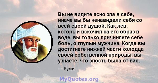 Вы не видите ясно зла в себе, иначе вы бы ненавидели себя со всей своей душой. Как лев, который вскочил на его образ в воде, вы только причиняете себе боль, о глупый мужчина. Когда вы достигнете нижней части колодца