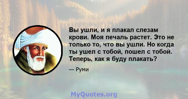 Вы ушли, и я плакал слезам крови. Моя печаль растет. Это не только то, что вы ушли. Но когда ты ушел с тобой, пошел с тобой. Теперь, как я буду плакать?