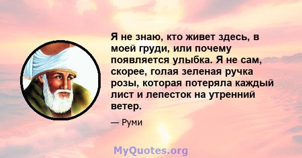 Я не знаю, кто живет здесь, в моей груди, или почему появляется улыбка. Я не сам, скорее, голая зеленая ручка розы, которая потеряла каждый лист и лепесток на утренний ветер.