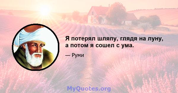 Я потерял шляпу, глядя на луну, а потом я сошел с ума.