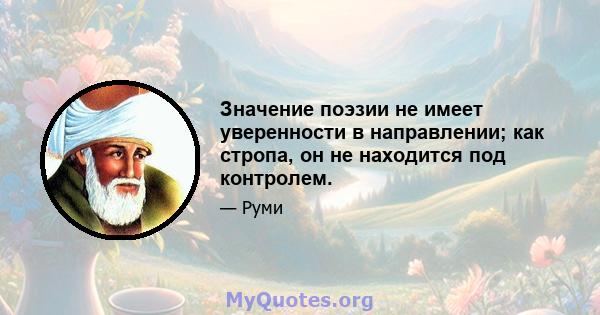 Значение поэзии не имеет уверенности в направлении; как стропа, он не находится под контролем.