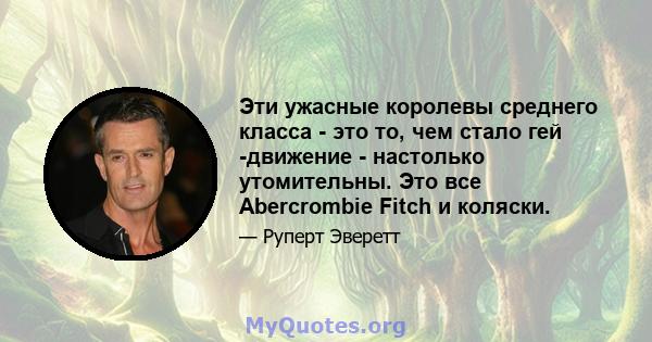 Эти ужасные королевы среднего класса - это то, чем стало гей -движение - настолько утомительны. Это все Abercrombie Fitch и коляски.