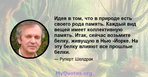 Идея в том, что в природе есть своего рода память. Каждый вид вещей имеет коллективную память. Итак, сейчас возьмите белку, живущую в Нью -Йорке. На эту белку влияют все прошлые белки.