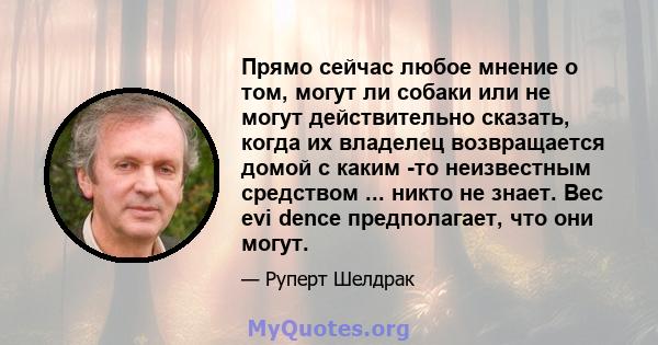 Прямо сейчас любое мнение о том, могут ли собаки или не могут действительно сказать, когда их владелец возвращается домой с каким -то неизвестным средством ... никто не знает. Вес evi dence предполагает, что они могут.