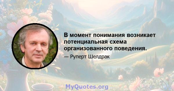 В момент понимания возникает потенциальная схема организованного поведения.