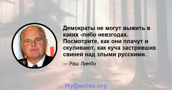 Демократы не могут выжить в каких -либо невзгодах. Посмотрите, как они плачут и скуливают, как куча застрявших свиней над злыми русскими.