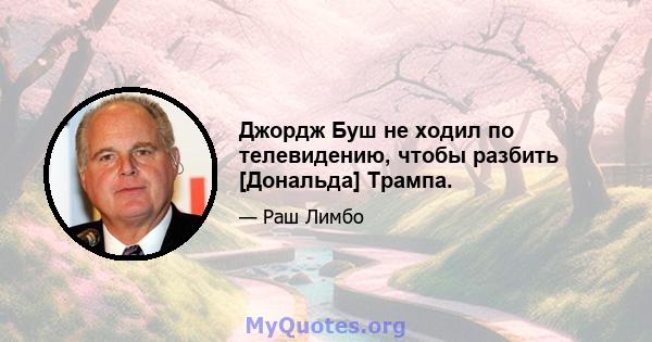 Джордж Буш не ходил по телевидению, чтобы разбить [Дональда] Трампа.