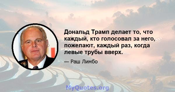 Дональд Трамп делает то, что каждый, кто голосовал за него, пожелают, каждый раз, когда левые трубы вверх.