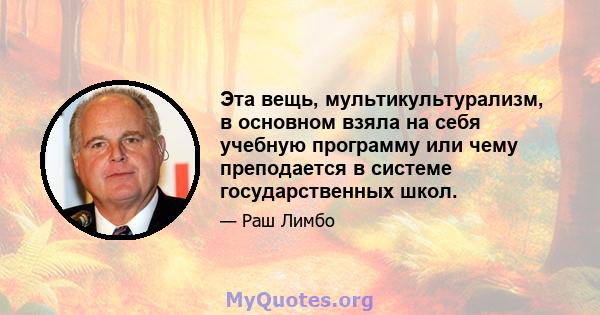 Эта вещь, мультикультурализм, в основном взяла на себя учебную программу или чему преподается в системе государственных школ.