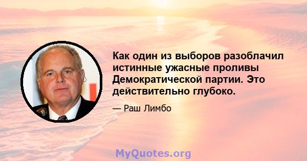 Как один из выборов разоблачил истинные ужасные проливы Демократической партии. Это действительно глубоко.