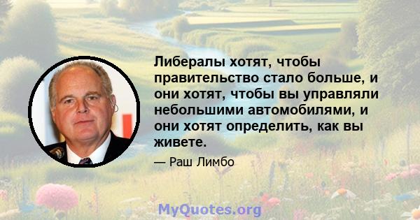 Либералы хотят, чтобы правительство стало больше, и они хотят, чтобы вы управляли небольшими автомобилями, и они хотят определить, как вы живете.