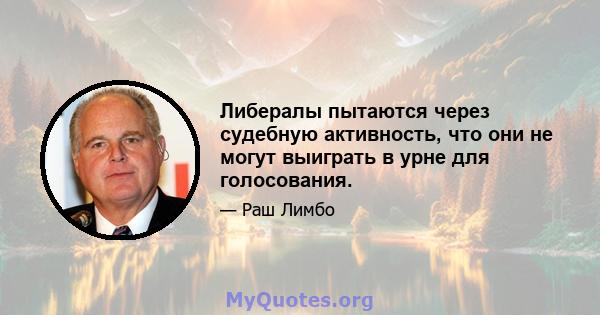 Либералы пытаются через судебную активность, что они не могут выиграть в урне для голосования.