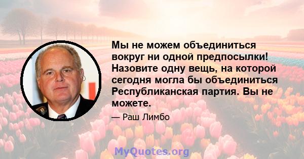 Мы не можем объединиться вокруг ни одной предпосылки! Назовите одну вещь, на которой сегодня могла бы объединиться Республиканская партия. Вы не можете.