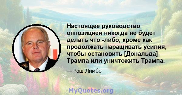 Настоящее руководство оппозицией никогда не будет делать что -либо, кроме как продолжать наращивать усилия, чтобы остановить [Дональда] Трампа или уничтожить Трампа.