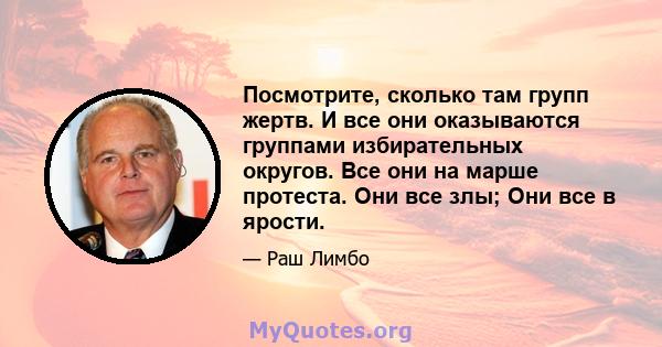 Посмотрите, сколько там групп жертв. И все они оказываются группами избирательных округов. Все они на марше протеста. Они все злы; Они все в ярости.