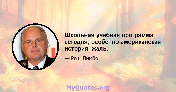 Школьная учебная программа сегодня, особенно американская история, жаль.