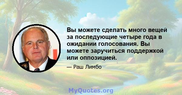 Вы можете сделать много вещей за последующие четыре года в ожидании голосования. Вы можете заручиться поддержкой или оппозицией.