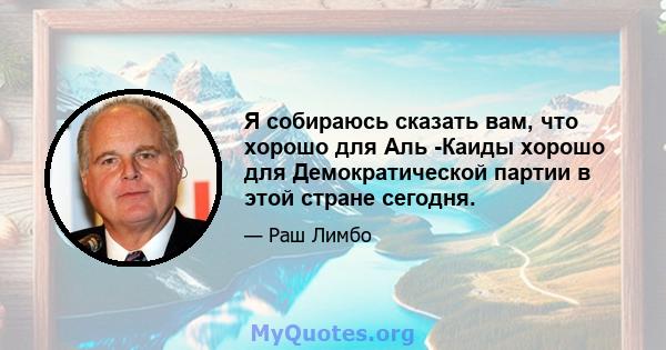 Я собираюсь сказать вам, что хорошо для Аль -Каиды хорошо для Демократической партии в этой стране сегодня.