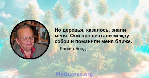 Но деревья, казалось, знали меня. Они прошептали между собой и поманили меня ближе.