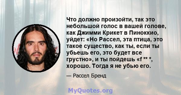 Что должно произойти, так это небольшой голос в вашей голове, как Джимми Крикет в Пиноккио, уйдет: «Но Рассел, эта птица, это такое существо, как ты, если ты убьешь его, это будет все грустно», и ты пойдешь «f ** *,