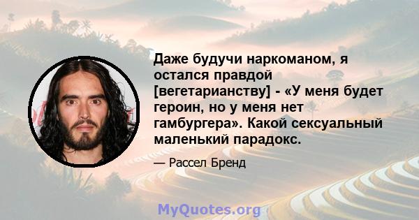 Даже будучи наркоманом, я остался правдой [вегетарианству] - «У меня будет героин, но у меня нет гамбургера». Какой сексуальный маленький парадокс.