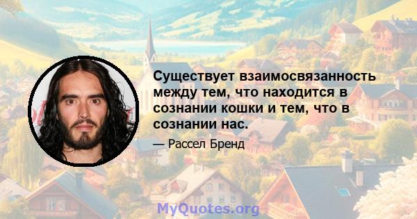 Существует взаимосвязанность между тем, что находится в сознании кошки и тем, что в сознании нас.