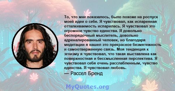 То, что мне показалось, было похоже на роспуск моей идеи о себе. Я чувствовал, как испаренная отталкиваемость испарилась. Я чувствовал это огромное чувство единства. Я довольно беспорядочный мыслитель, довольно