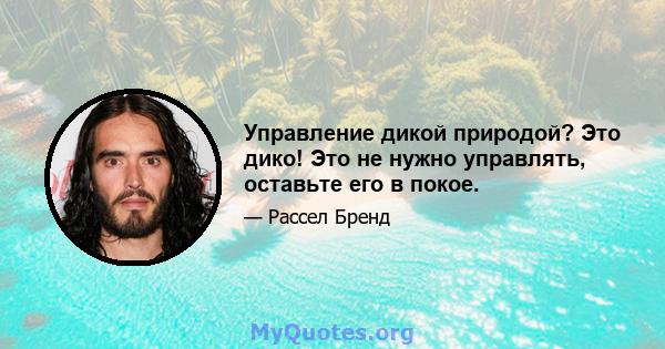 Управление дикой природой? Это дико! Это не нужно управлять, оставьте его в покое.