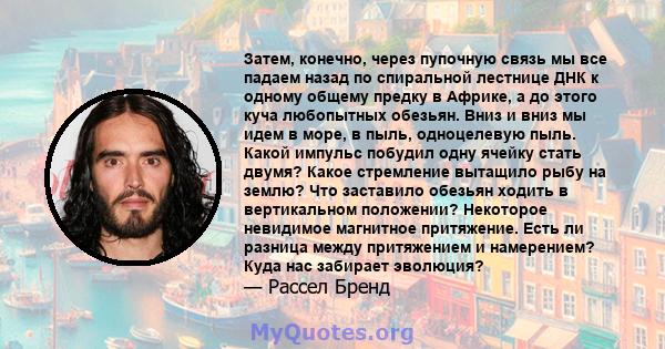 Затем, конечно, через пупочную связь мы все падаем назад по спиральной лестнице ДНК к одному общему предку в Африке, а до этого куча любопытных обезьян. Вниз и вниз мы идем в море, в пыль, одноцелевую пыль. Какой