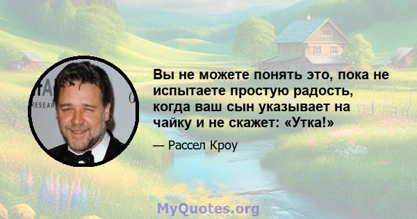 Вы не можете понять это, пока не испытаете простую радость, когда ваш сын указывает на чайку и не скажет: «Утка!»