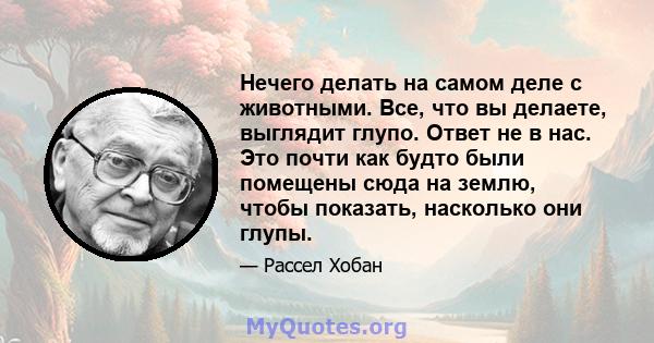 Нечего делать на самом деле с животными. Все, что вы делаете, выглядит глупо. Ответ не в нас. Это почти как будто были помещены сюда на землю, чтобы показать, насколько они глупы.