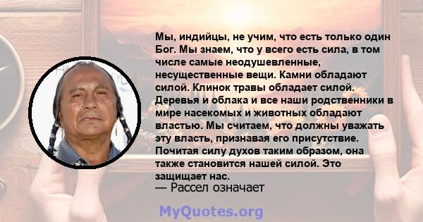 Мы, индийцы, не учим, что есть только один Бог. Мы знаем, что у всего есть сила, в том числе самые неодушевленные, несущественные вещи. Камни обладают силой. Клинок травы обладает силой. Деревья и облака и все наши