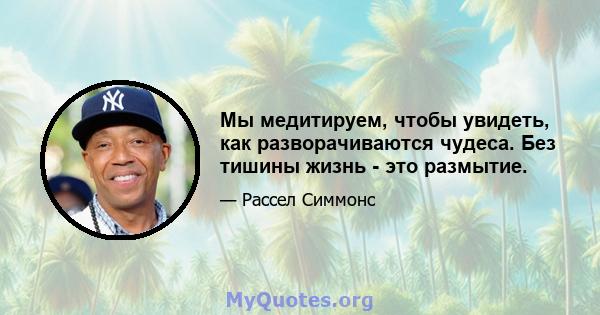 Мы медитируем, чтобы увидеть, как разворачиваются чудеса. Без тишины жизнь - это размытие.