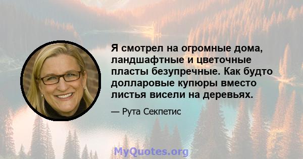 Я смотрел на огромные дома, ландшафтные и цветочные пласты безупречные. Как будто долларовые купюры вместо листья висели на деревьях.