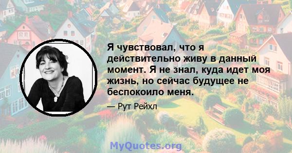 Я чувствовал, что я действительно живу в данный момент. Я не знал, куда идет моя жизнь, но сейчас будущее не беспокоило меня.