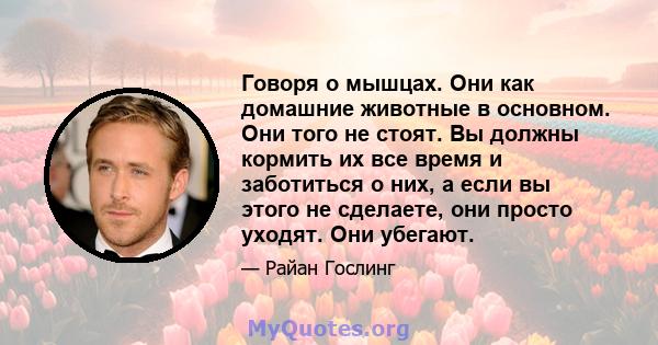 Говоря о мышцах. Они как домашние животные в основном. Они того не стоят. Вы должны кормить их все время и заботиться о них, а если вы этого не сделаете, они просто уходят. Они убегают.