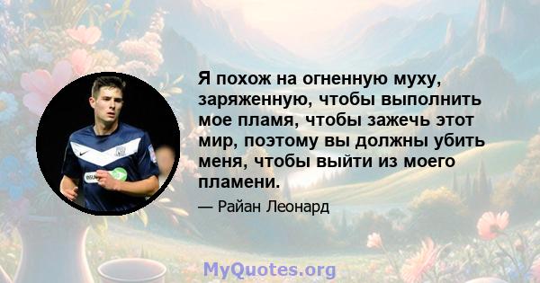 Я похож на огненную муху, заряженную, чтобы выполнить мое пламя, чтобы зажечь этот мир, поэтому вы должны убить меня, чтобы выйти из моего пламени.