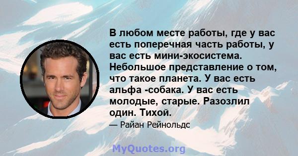 В любом месте работы, где у вас есть поперечная часть работы, у вас есть мини-экосистема. Небольшое представление о том, что такое планета. У вас есть альфа -собака. У вас есть молодые, старые. Разозлил один. Тихой.