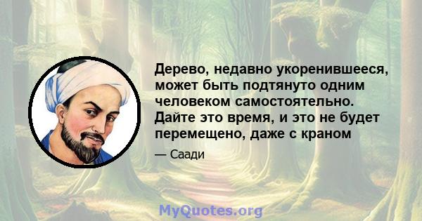 Дерево, недавно укоренившееся, может быть подтянуто одним человеком самостоятельно. Дайте это время, и это не будет перемещено, даже с краном